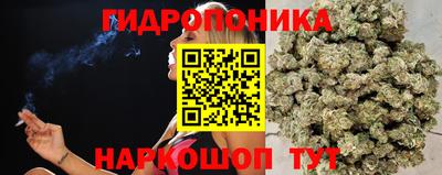мдпв Рыбинск
