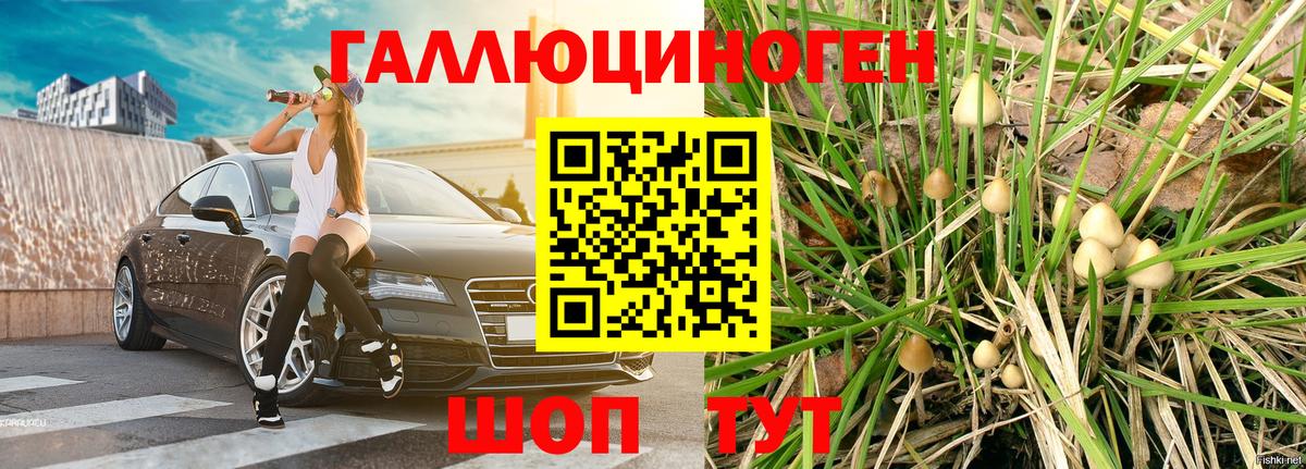 хочу   Вход с VPN  Советская Гавань  Галлюциногенные грибы ЛСД 