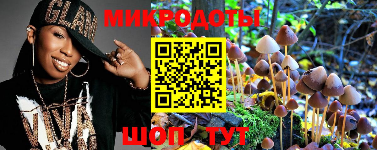 Галлюциногенные грибы прущие грибы Советская Гавань
